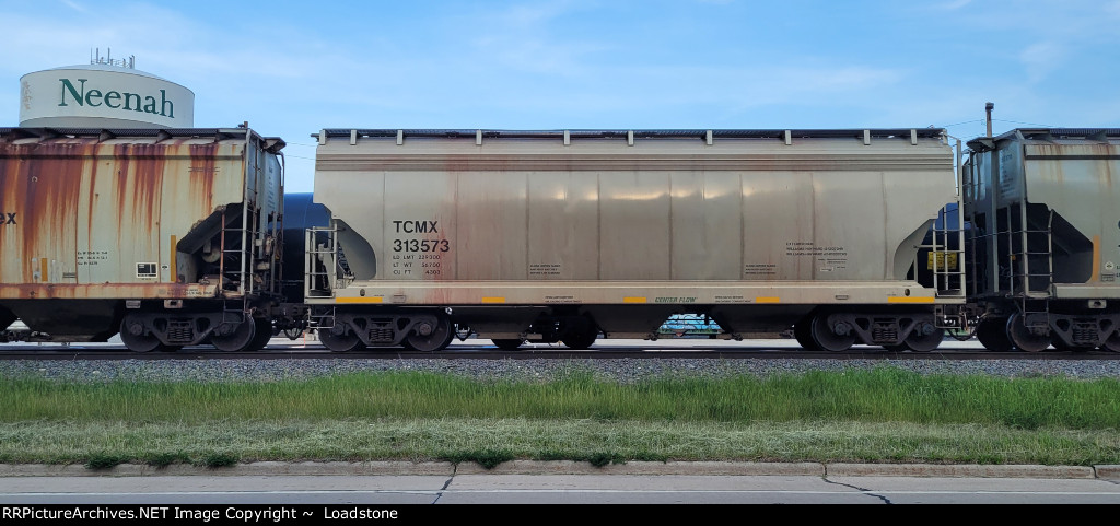TCMX 313573